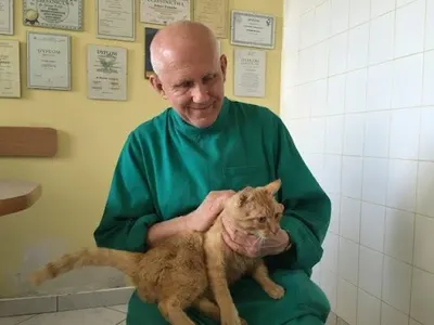 Canwet Prywatna lecznica małych i dużych zwierząt